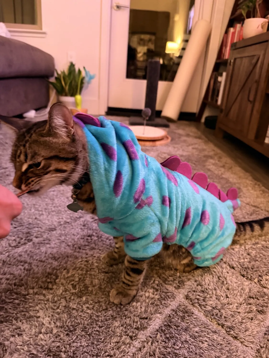 Dinosaur Onesie - reviewed by Kenzo