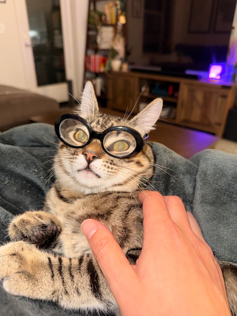 Kenzo wearing funny round glasses looking like a little professor